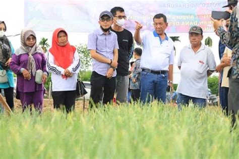 Pacu Produksi Bupati Pesisir Selatan Minta Penyuluh Ekstra Dampingi