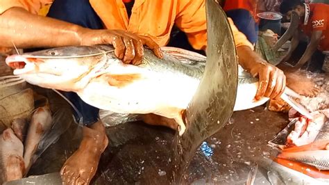 Amazing Ayer Fish Cutting Video Fish Cutting Skill YouTube