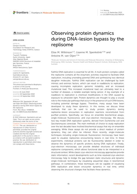 Pdf Observing Protein Dynamics During Dna Lesion Bypass By The Replisome