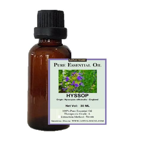 Hyssop Essential Oil · Lotus House · Online Store Powered By Storenvy