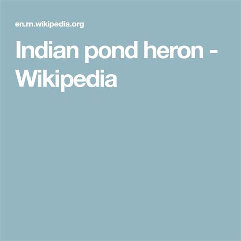 Indian Pond Heron Wikipedia Heron Pond Indian