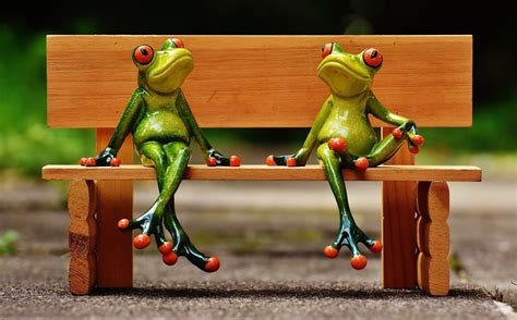 Friends Sit Frogs · Free Photo On Pixabay