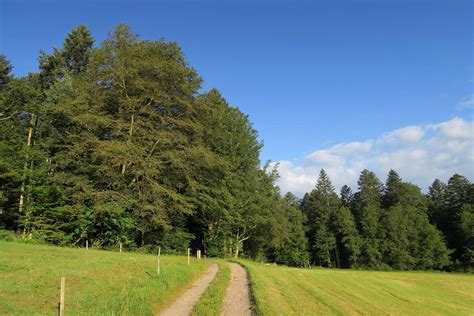 Herrischried Aussichtsreiche Rundwanderung Ferienwelt S Dschwarzwald