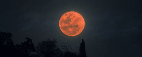 Tuesdays Rare Blood Moon Eclipse Will Be The Last Until 2025 Heres