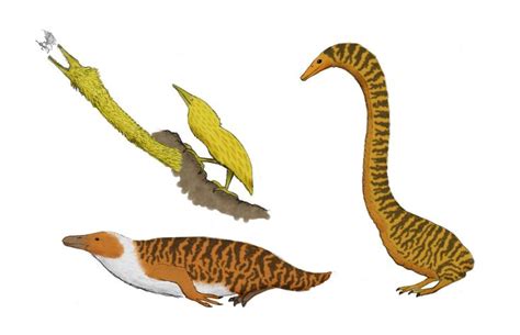 The Redesigned Dinosaurs By Dragonthunders On DeviantArt Creature