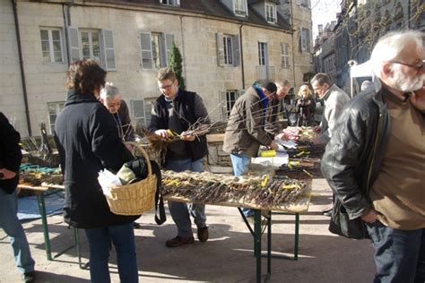 Bourse Aux Greffons Croqueurs De Pommes Jura Dole Et Serre