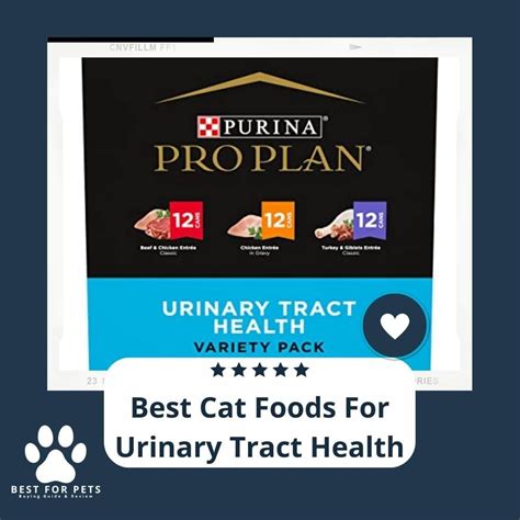 The Best Cat Foods For Urinary Tract Health To Buy