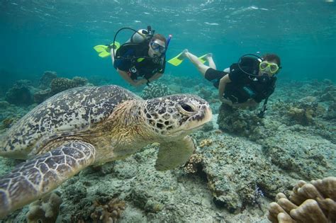 Gili Islands | Diving Gili Islands | Authentic-Indonesia