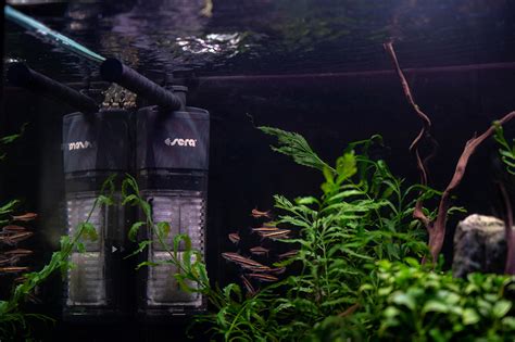 Addition to the aquarium range | Service | sera