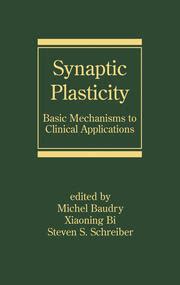 Synaptic Plasticity Basic Mechanisms To Clinical Applications Mich