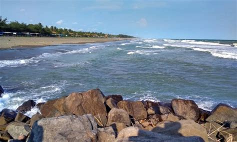 Pantai Suwuk Kebumen Tempat Wisata Aktivitas Liburan Lokasi Harga