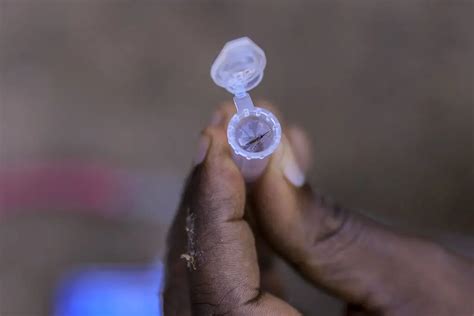 Malaria Is Surging In Ethiopia Reversing A Decade Of Progress Against