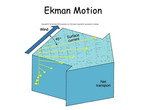 PPT - Ocean Circulation II Ekman transport & Geostrophic currents PowerPoint Presentation - ID ...