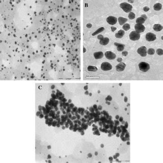 TEM Images Of Gold Nanoparticles Formed By The Reaction HAuCl4 With PAT