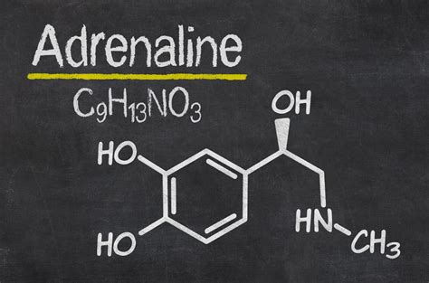 Adrenalin (Epinephrin): ein nützlicher Leitfaden mit Fragen und Antworten