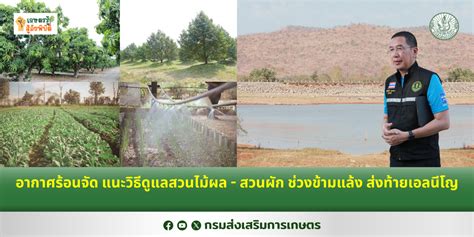 เกษตรรู้สู้ภัยพิบัติ Archives ศูนย์ข่าวกรมส่งเสริมการเกษตร