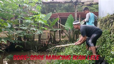 Sore Sore Mancing Lele Disamping Rumah Mancingmania Mancinglele