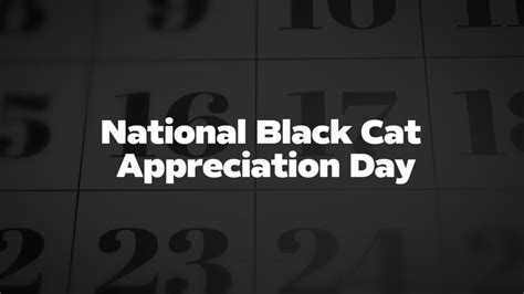 National-Black-Cat-Appreciation-Day - List Of National Days