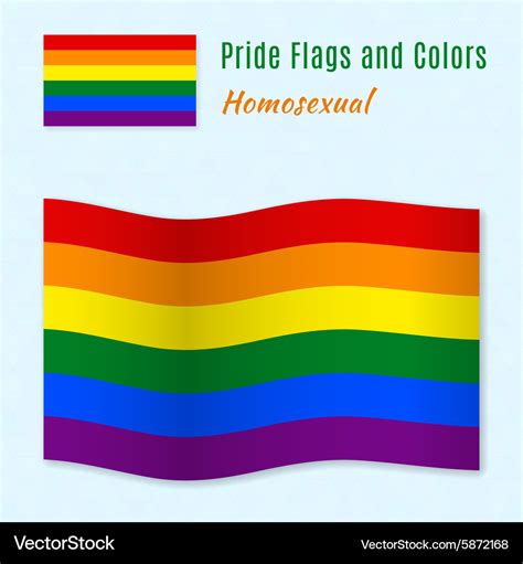 Six Color Rainbow Gay Pride Flag With Correct Vector Image