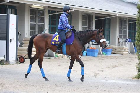 【天皇賞・春】71年ぶりの牝馬v狙うサリエラは栗東に滞在して調整中 サンスポzbat