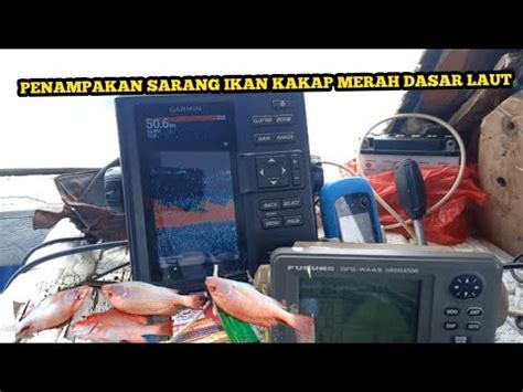 Pesta Strike Kakap Merah Di Rumpon Kepulauan Seribu Garmin Ff Feat