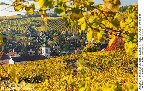 Photo Vignoble Du Kirchberg En Automne Et Vue Sur Barr Bas Rhin 67