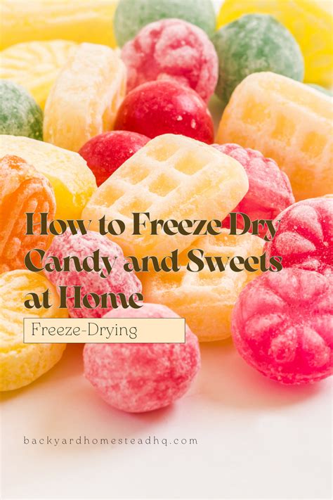 How To Freeze Dry Candy And Sweets At Home Artofit