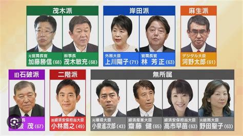 自民党総裁選2024の候補者一覧から、、、、腹黒度・姓名診断と、キングダム映画公開にちなんでキングダム診断も！、そんな日曜をゆるゆると♪