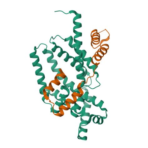 RCSB PDB 1RP3 Cocrystal Structure Of The Flagellar Sigma Anti Sigma