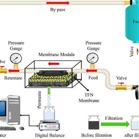 Schematic Illustration Of The Cross Flow Filtration System Download Scientific Diagram