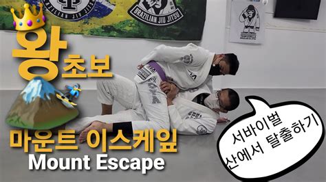 마운트 이스케이프 Mount Escape 왕 초보자를 위한 영상 43 기술도움 강진구 Youtube