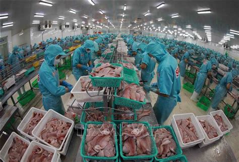 Xuất khẩu cá tra tận dụng cơ hội khởi sắc - Tạp chí điện tử Bảo vệ Rừng ...