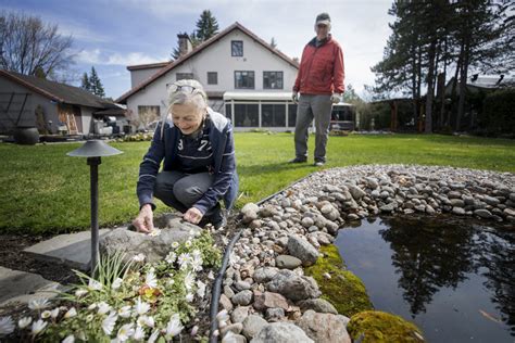 Fièvre du printemps La Presse