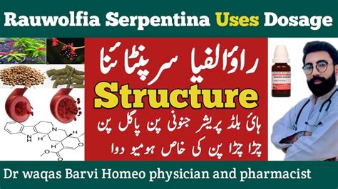 Rauwolfia Serpentina Q Uses In Hindi Rauwolfia Serpentina Homeopathy