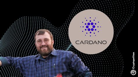 El Fundador Cardano Charles Hoskinson Es El H Roe M S Subestimado De