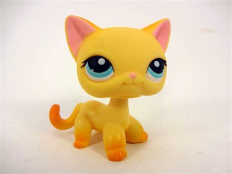 339 Cat Littlest Pet Shop Wiki Fandom Powered By Wikia