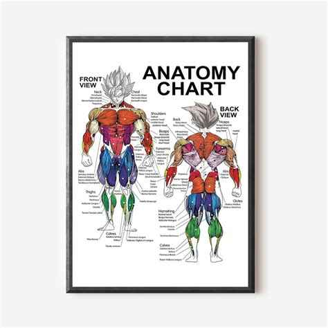 Saiyan Anatomy Chart Muscle Diagram Anime Workout Classic Premium