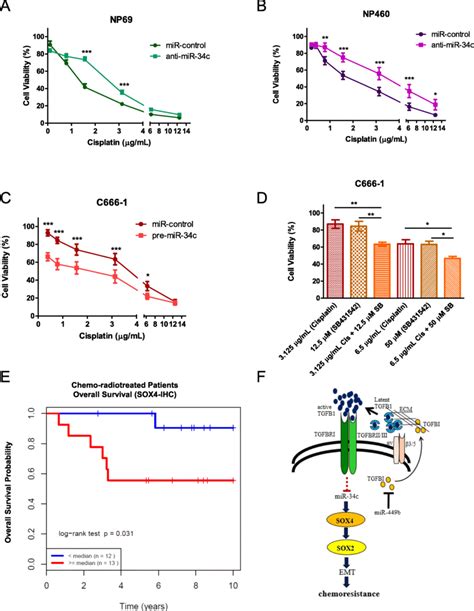 MiR 34c and the TGFβ pathway are involved in cisplatin sensitivity in