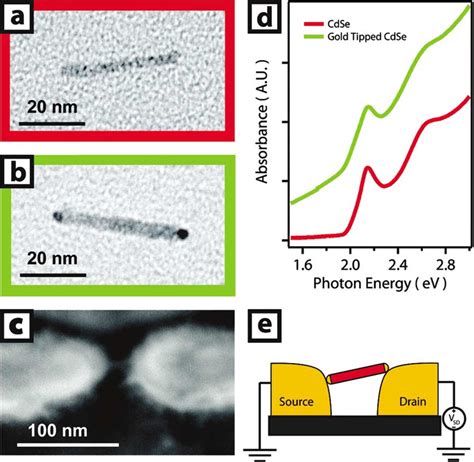 Tem Image Of Cdse Nanocrystal Before A And After B Au Tip Growth