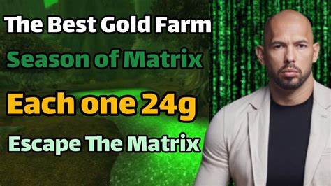 The Best Gold Farm In Season Of Discovery Each One G Wowclassic