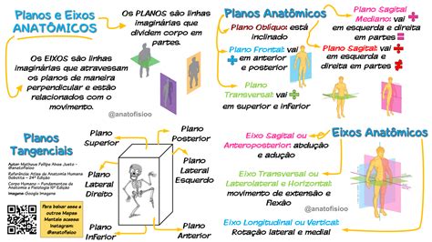 Planos Eixos E Nomenclatura Dos Movimentos Na Cinesiologia Blog Do