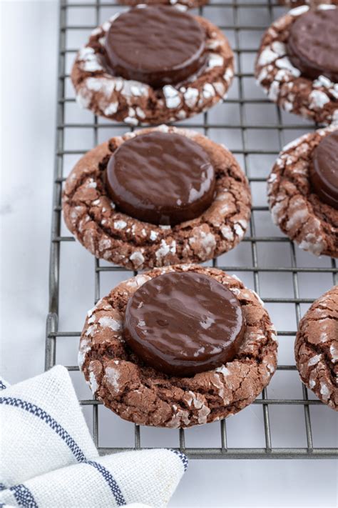 Fudgy Mint Cookies Recipe Boy