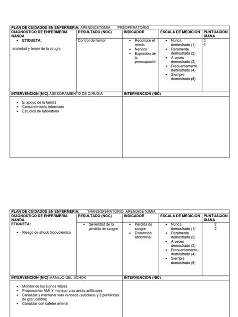 Plan De Cuidados En EnfermerÍa Docx Ciencias De La Salud Bienestar