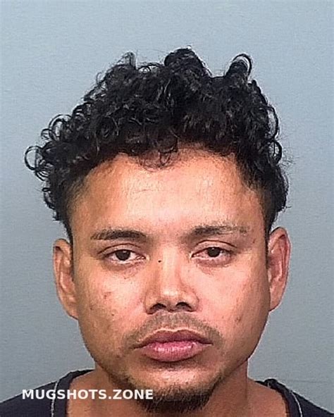 Guerrero Padilla Marcos Manatee County Mugshots Zone