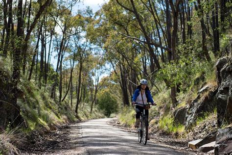 Self Guided Gourmet Culinary Cycling Day Tour From Beechworth