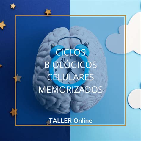 CBCM TALLER DE CICLOS BIOLÓGICOS CELULARES MEMORIZADOS Monica Ivaldi