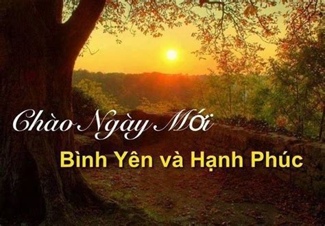 Tặng Bạn Những Lời Chúc đầu Tuần Vui Vẻ Hạnh Phúc ý Nghĩa Nhất