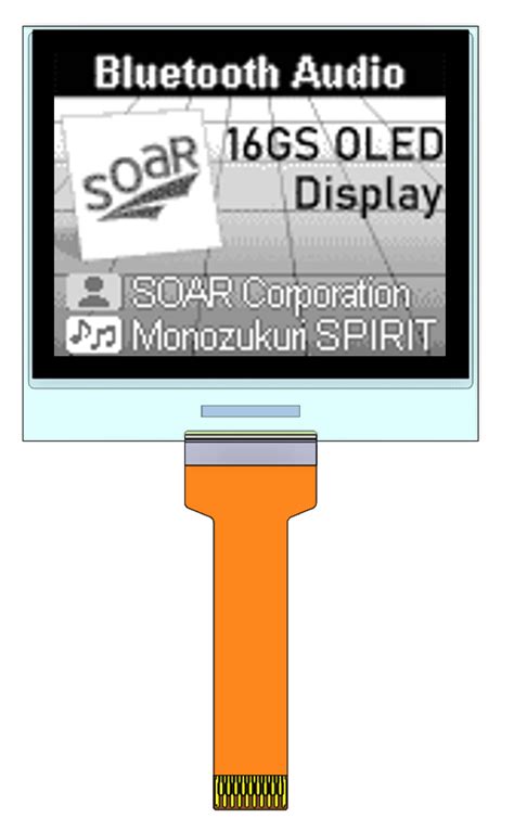 Standard Model Oled Display Soar Corporation Ofifcial Website