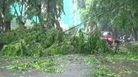 Hujan Deras Guyur Bekasi Akibatkan Pohon Tumbang Timpa Kabel Dan Tutup