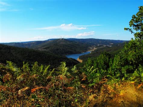 As Florestas De Portugal Serra Da Malcata